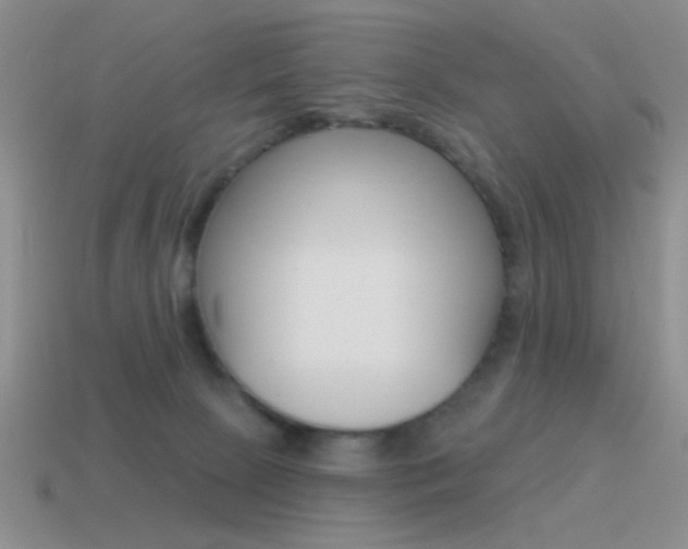 X0000115550081200911061135