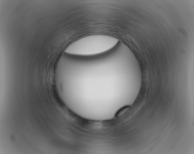 X0000115550083200911061135