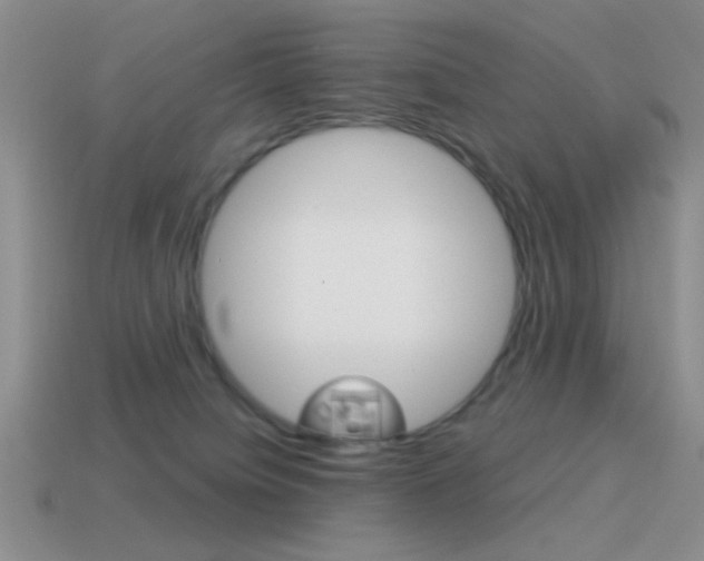 X0000115550084200911061135