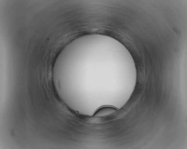 X0000115550085200911061135