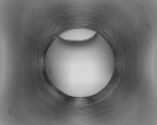 X0000115550087200911061135