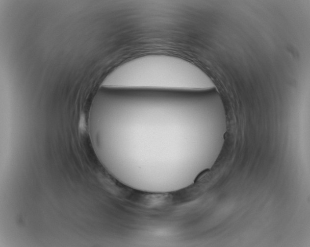 X0000115550089200911061136