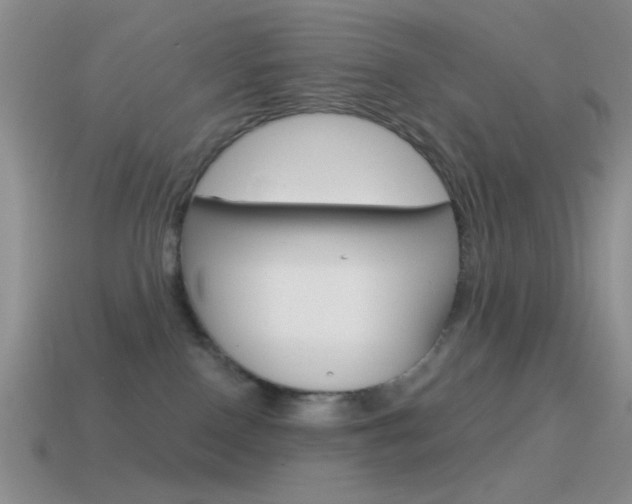 X0000115550090200911061136