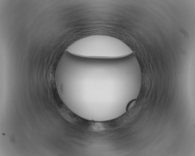 X0000115550091200911061136