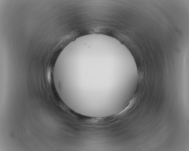 X0000115550094200911061136