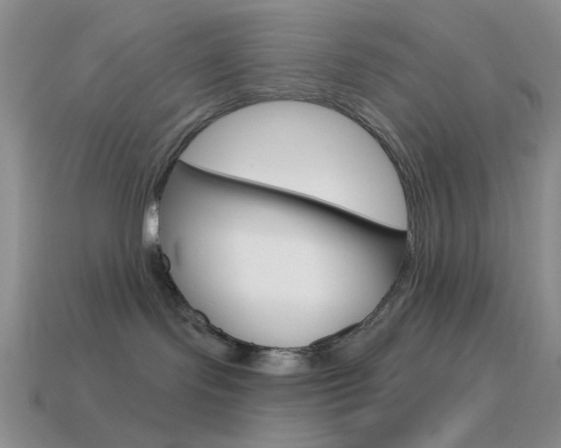 X0000115550095200911061136