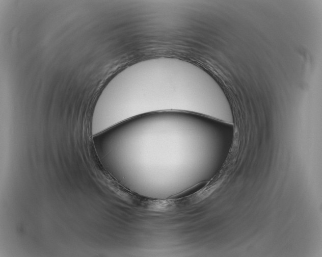 X0000115550096200911061136