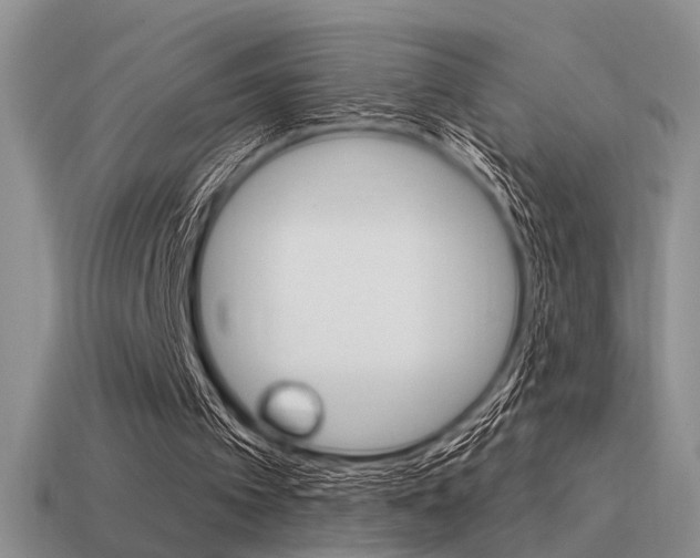 X0000115550097200911061135