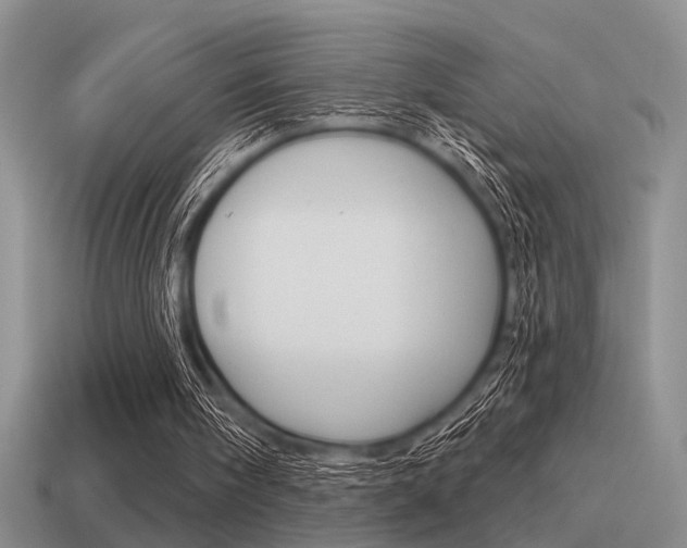 X0000115550098200911061135