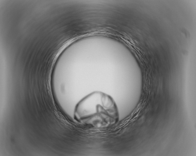 X0000115550100200911061135