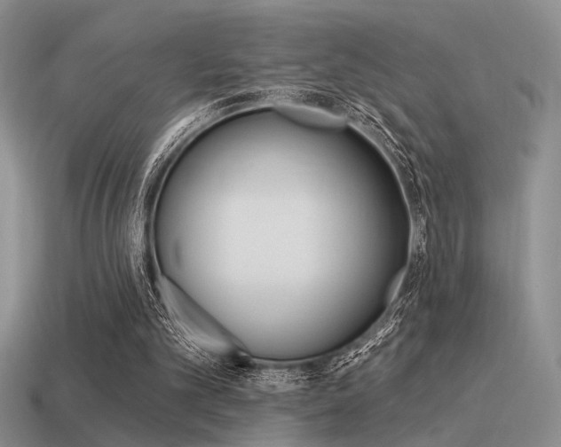 X0000115550101200911061135