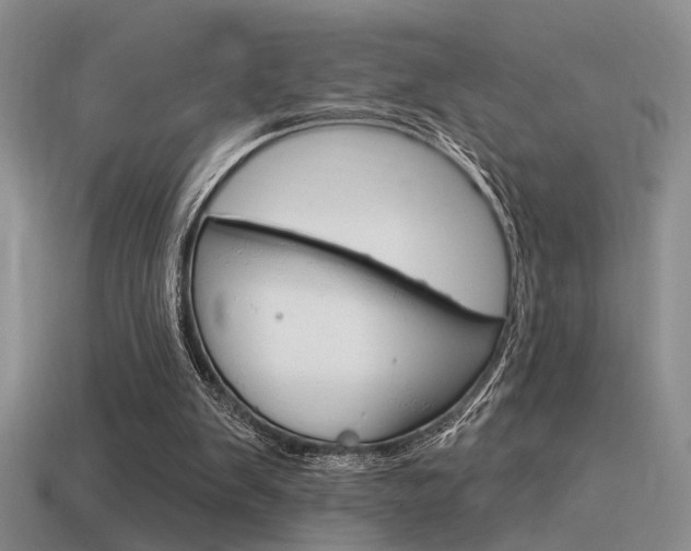 X0000115550103200911061135