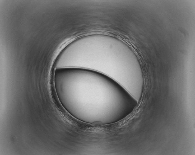 X0000115550104200911061135