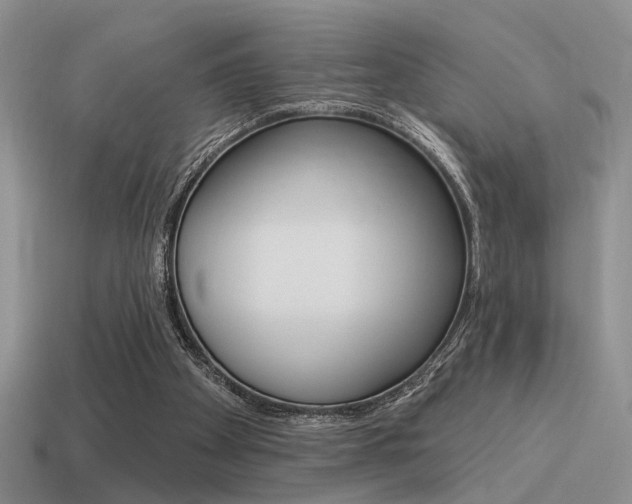 X0000115550105200911061135