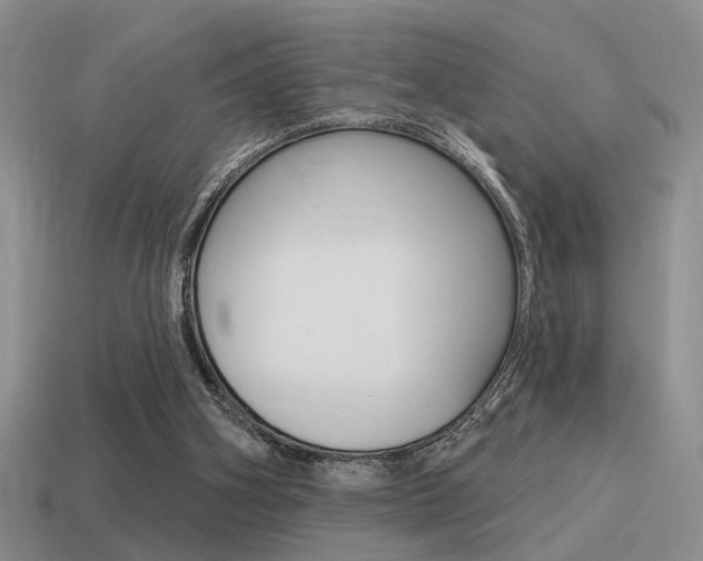 X0000115550106200911061135