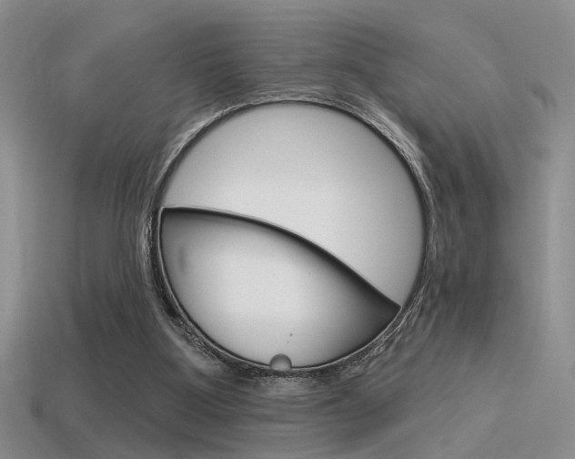 X0000115550107200911061135