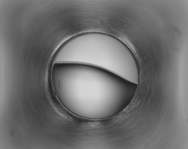 X0000115550108200911061135