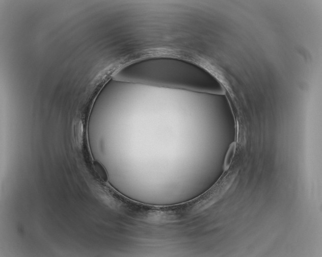 X0000115550109200911061135