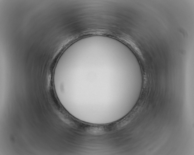 X0000115550110200911061135