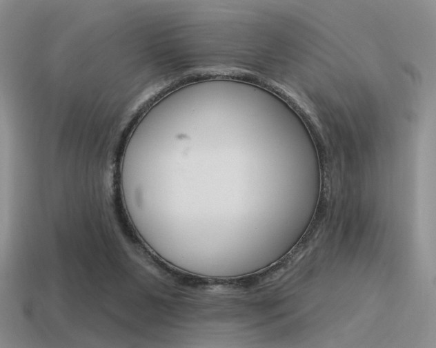 X0000115550111200911061135