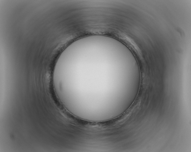 X0000115550113200911061135