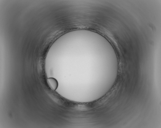 X0000115550114200911061135
