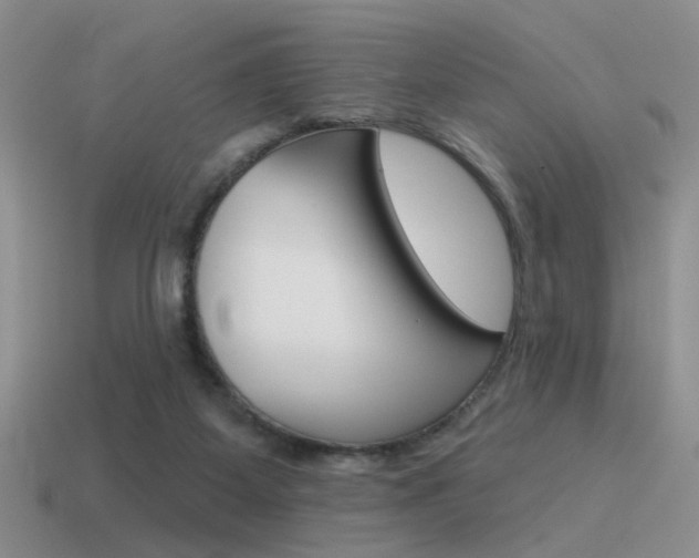 X0000115550115200911061135