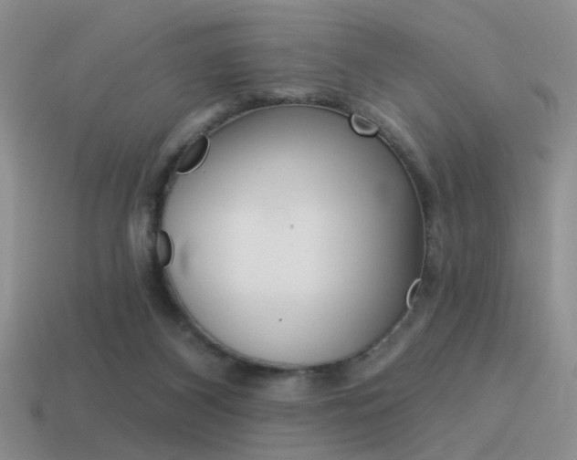 X0000115550116200911061135