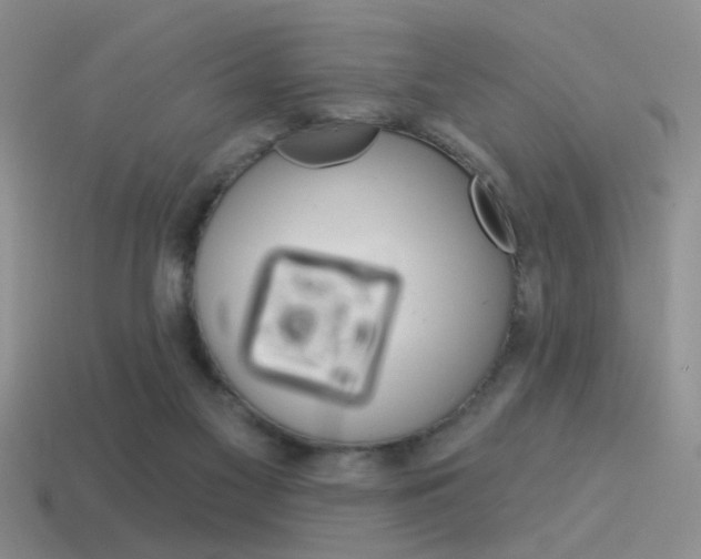 X0000115550117200911061135