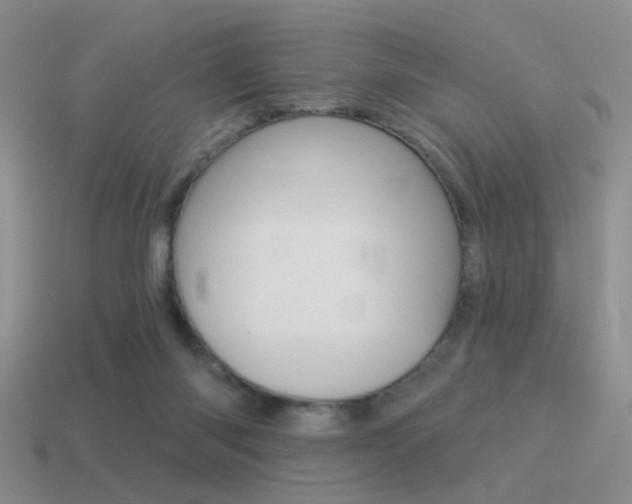 X0000115550118200911061135