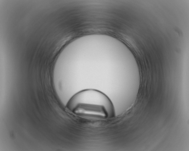 X0000115550120200911061135