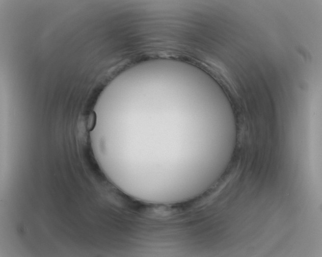 X0000115550121200911061135