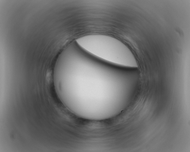 X0000115550123200911061135