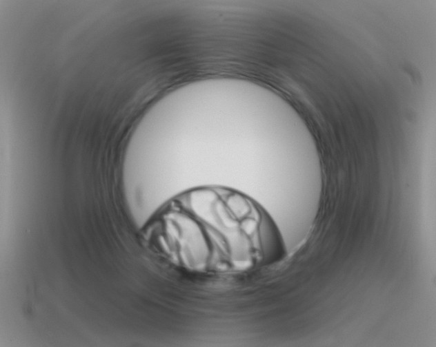 X0000115550124200911061135