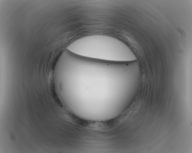 X0000115550125200911061135