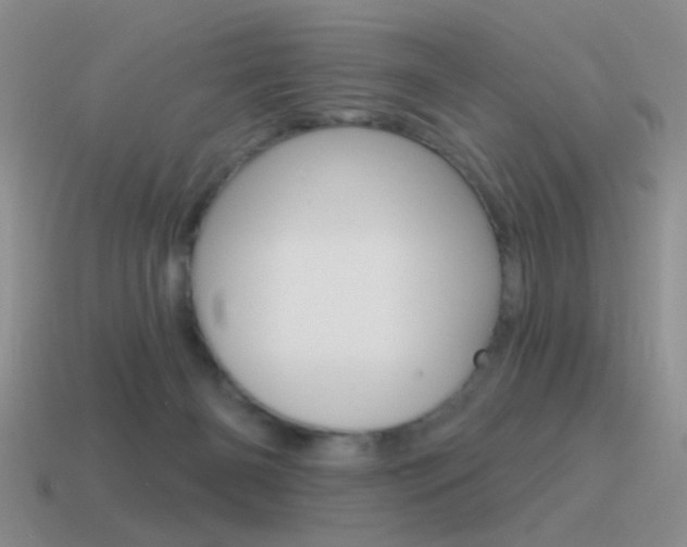 X0000115550126200911061135