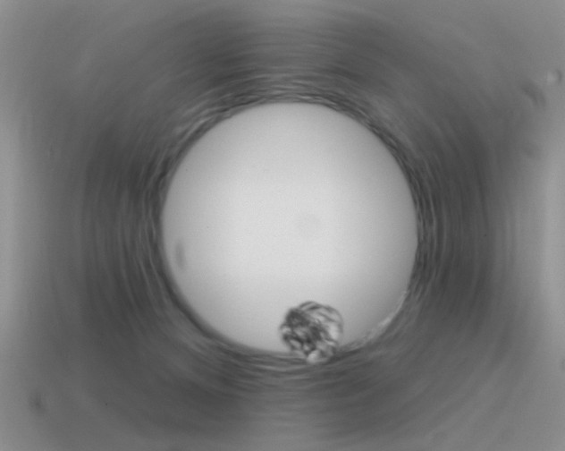 X0000115550128200911061135