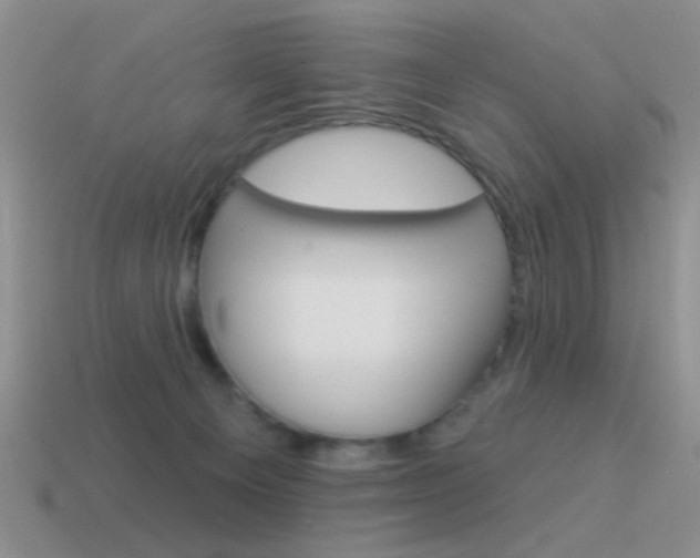 X0000115550129200911061135