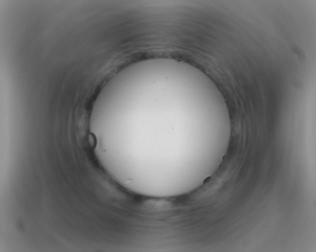 X0000115550133200911061135
