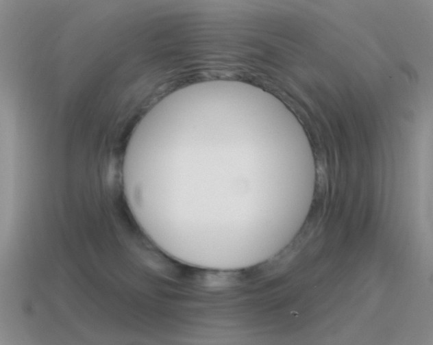 X0000115550134200911061135