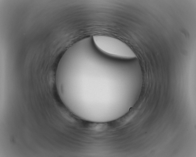 X0000115550135200911061134
