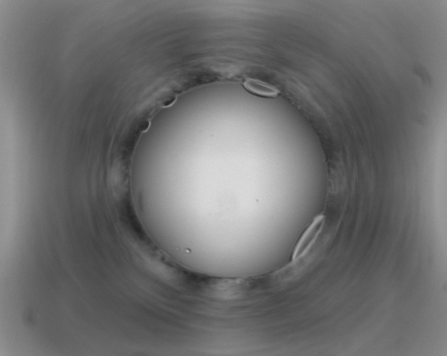 X0000115550136200911061134