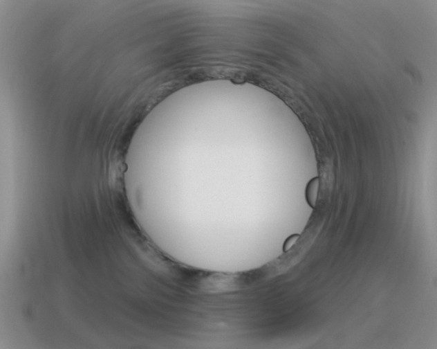 X0000115550138200911061134