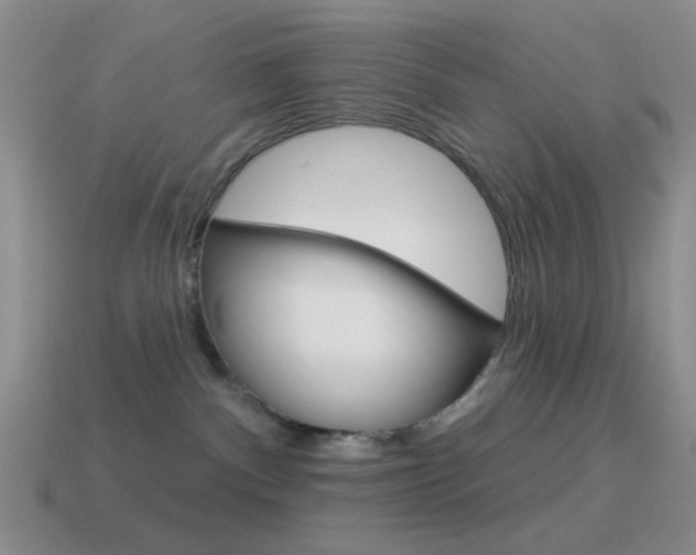 X0000115550140200911061134