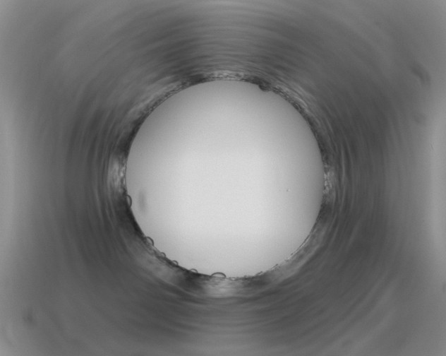 X0000115550142200911061134