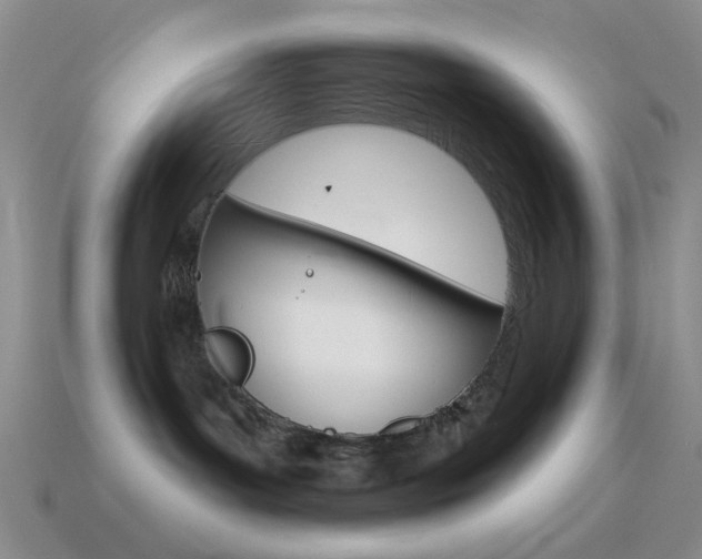 X0000115550143200911061134