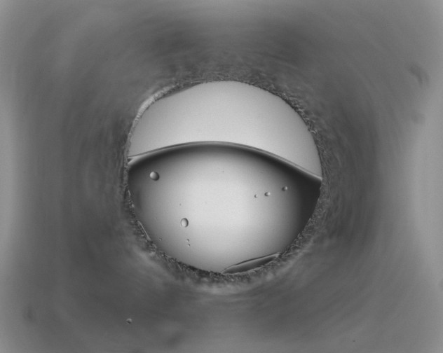 X0000115550144200911061134