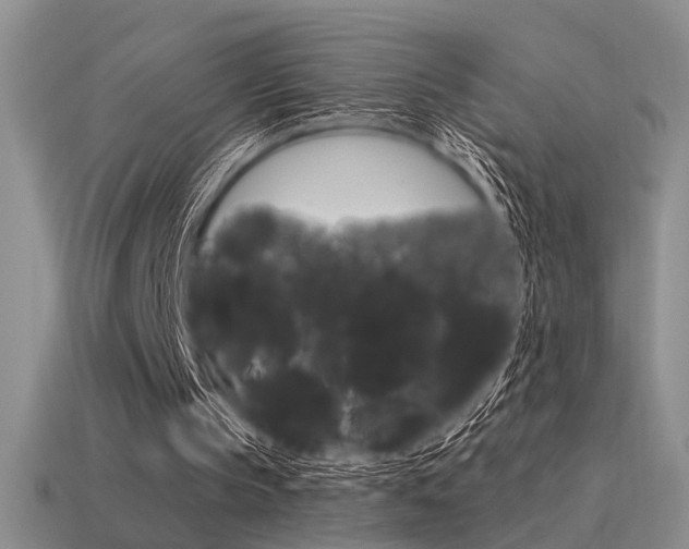 X0000115550145200911061134