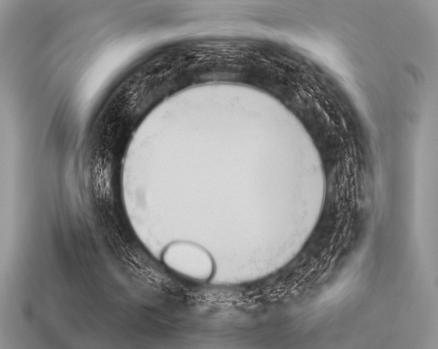 X0000115550146200911061134