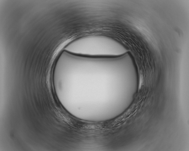 X0000115550147200911061134